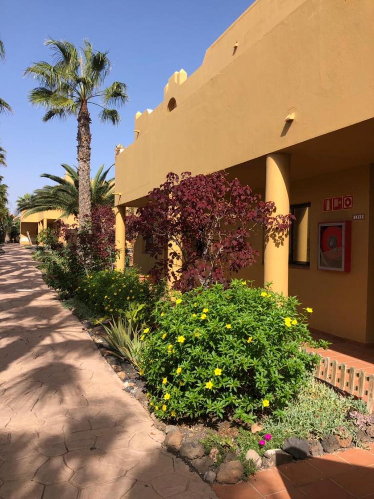 Casa Alice Apartman Corralejo Kültér fotó